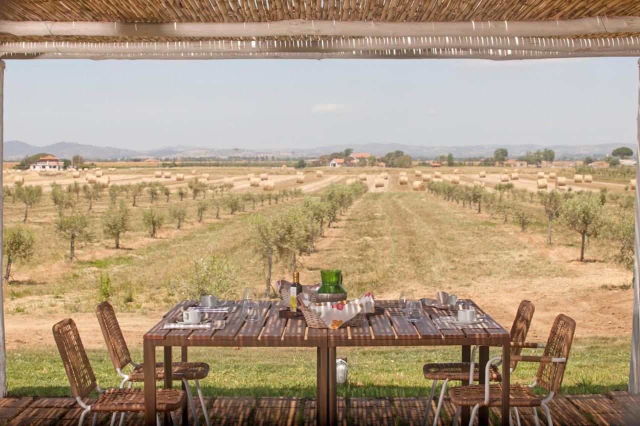 Casale Oliveta Villa Orbetello Luaran gambar